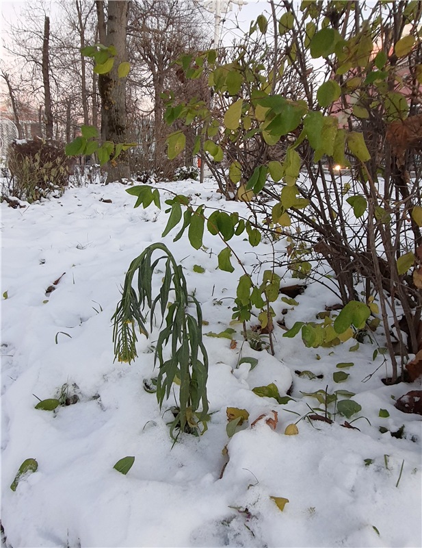 Декабрьская Тверь — Туризм и путешествия: фотоотчеты из поездок