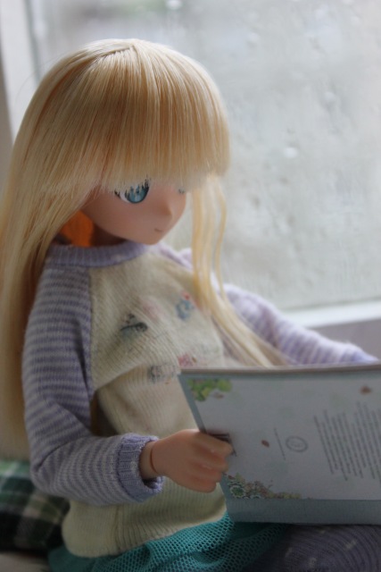 С брызгами благодарности от девочки Azone и ее вязаной собаки (фото 9)