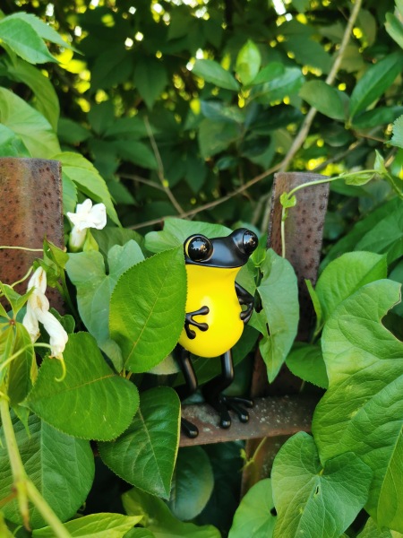 Лягушки Apo Frog от Twelvedot