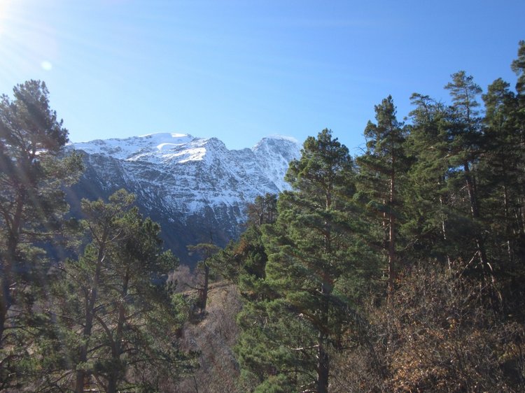 Принцесса Кавказского хребта (фото 4)