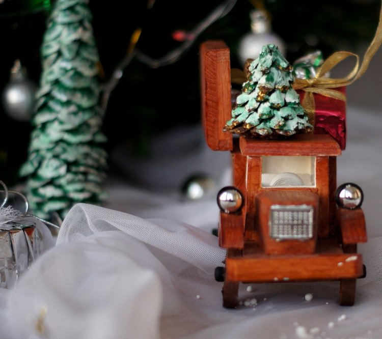 Новогодний вечер — Другие хобби и увлечения: сад