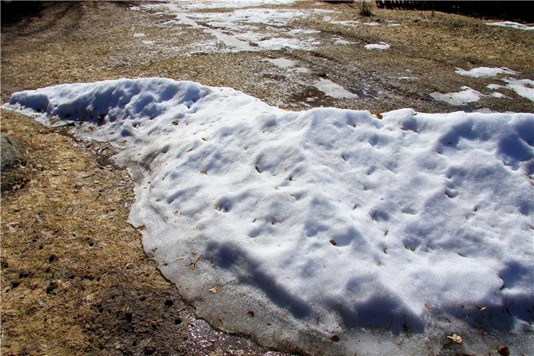Апрельский день в Василёво, продолжение