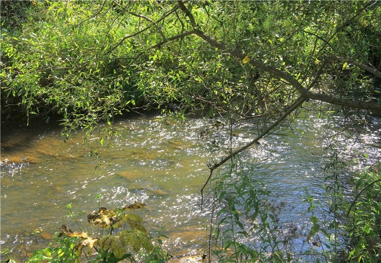 Старицкая Швейцария. Путешествие Мии. Minifee Miyu FairlyLand | Бэйбики Старицкая Швейцария. Путешествие Мии. Minifee Miyu FairlyLand