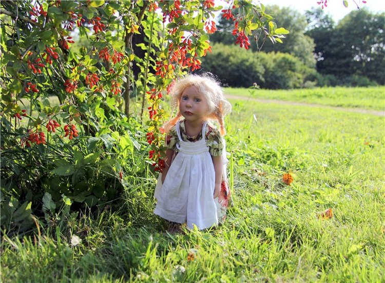 Августовская прогулка в Берново. Zwergnase Mischa