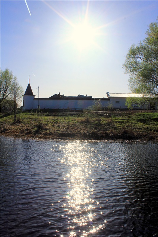 Джиджи на Орше. BJD Gigi от Meadow Dolls