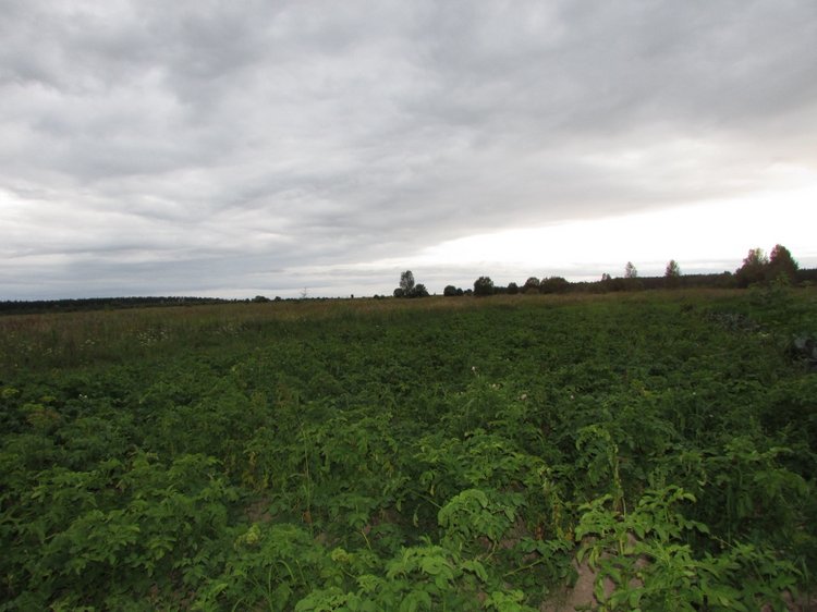 Путешествие в Нижегородскую область - часть 3 - Тимошка на усадьбе (фото 6)