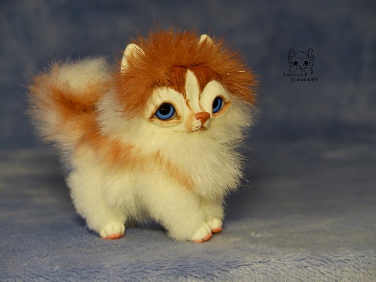 Щенок Хаски, миниатюра. Медный Окрас (фото 5)