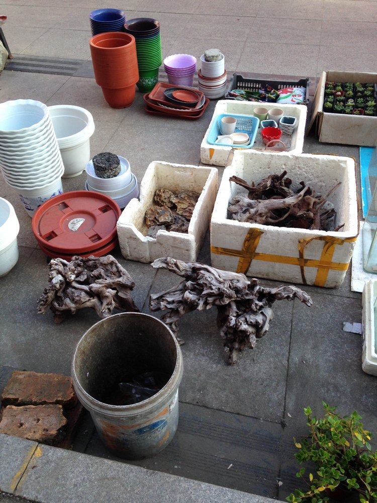 Прогулка по Китаю-2 (обзор цен на игрушки, животных, шмотки, еду)