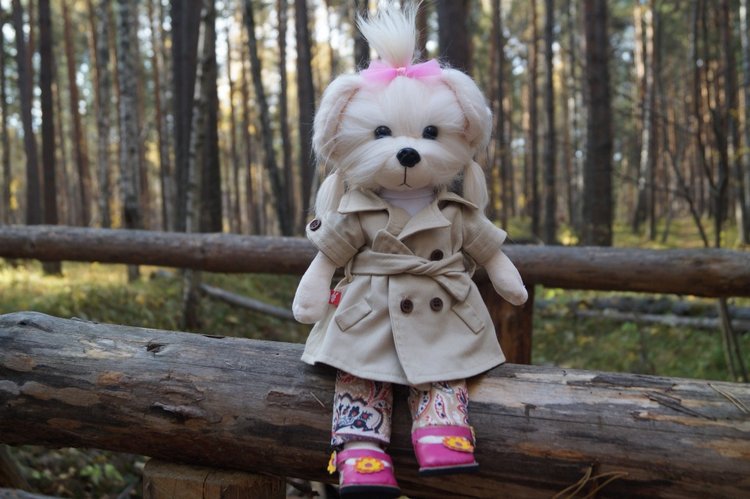 Хотите прогуляться по нашему городу? А за город - по экологической тропе