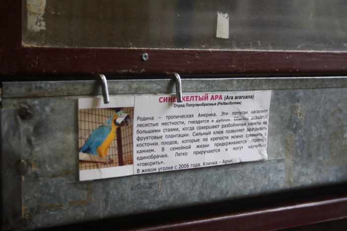 Псков. Эколого-биологический центр. Часть 1 (фото 5)