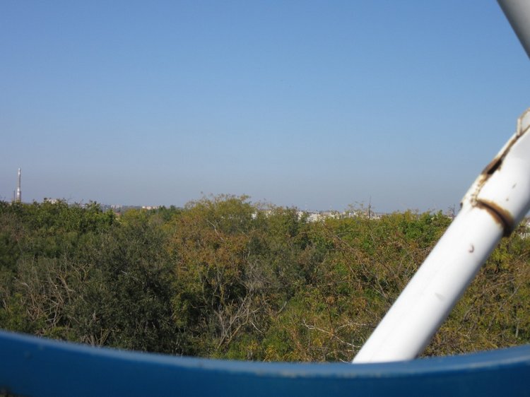 Выходной с Хеленой в Таганроге