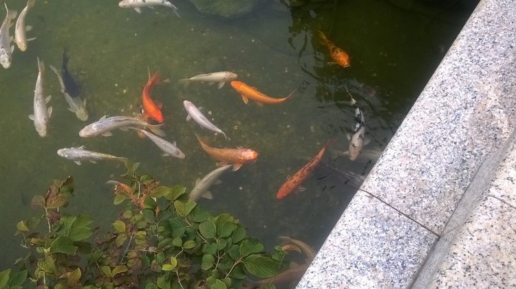 Тур по Европе или долгожданный подарок самой себе. Часть 11