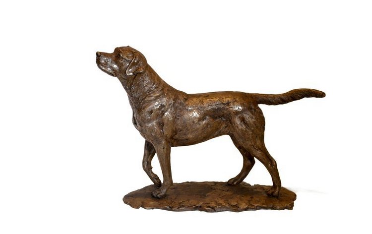 TanyaRussellSculptor - Авторские бронзовые скульптуры животных (фото 9)