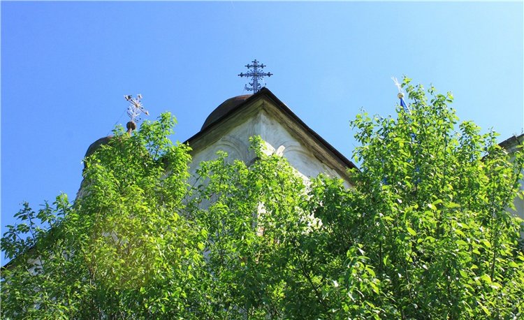 Эля в Иванишах. Twinkles Ella Chocolate