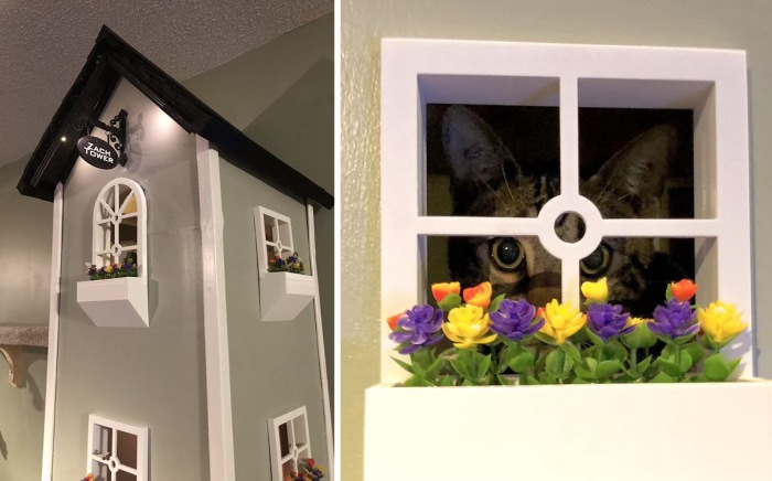 Кошкин дом в доме человека (фото 4)