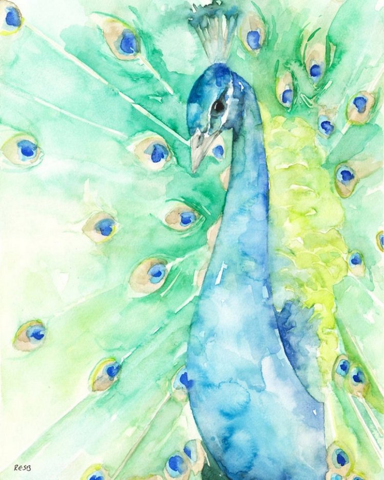 TheColorfulCatStudio - Иллюстрированная фауна by Rachel Byler