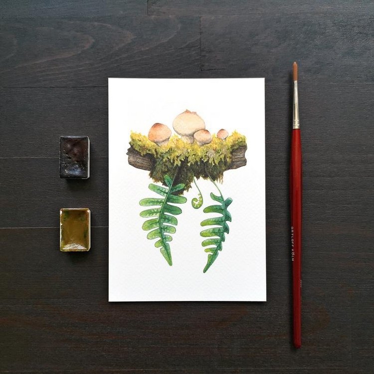 SnailMaidenStudio - Акварельные иллюстрации маленьких живых существ (фото 5)