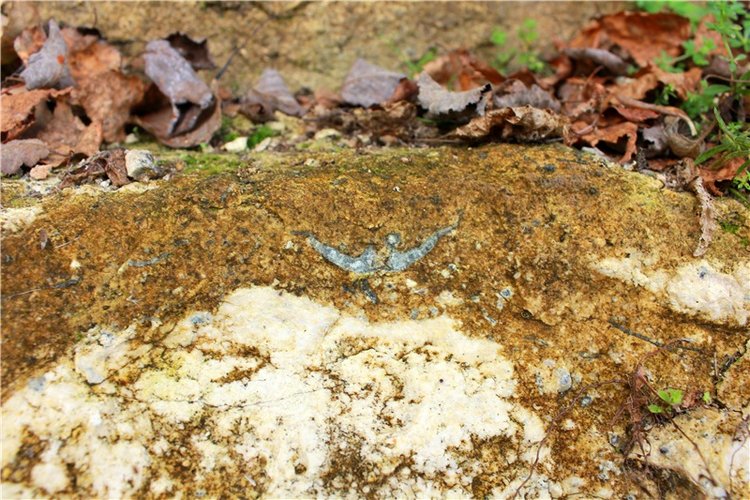 "Бабье Лето" на Водопаде, продолжение