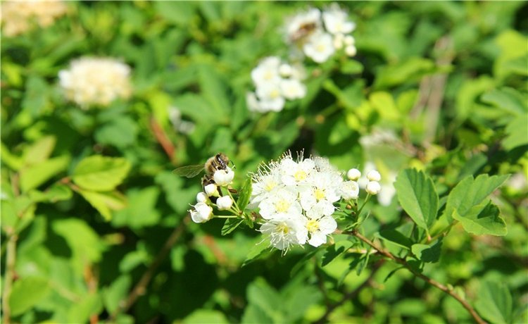 Сентябрьское путешествие в Старицу, третья часть