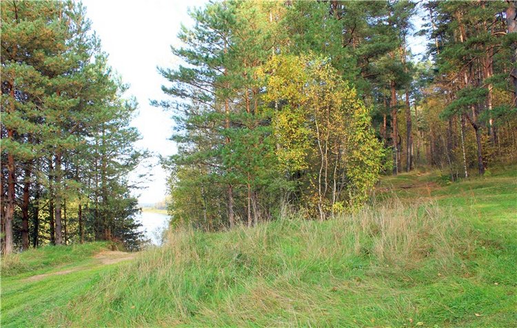 Путешествие Имани на Волгу, продолжение. Mini Imani от Kaye Wiggs