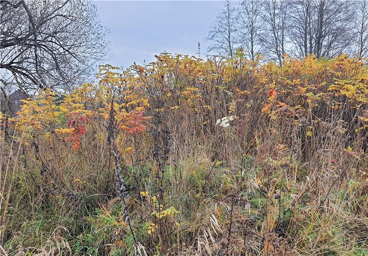 Путешествие по Святым местам Тверской области, продолжение