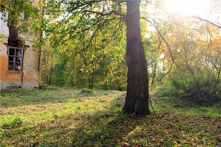 Путешествие Dal Hangry в Грузины, продолжение