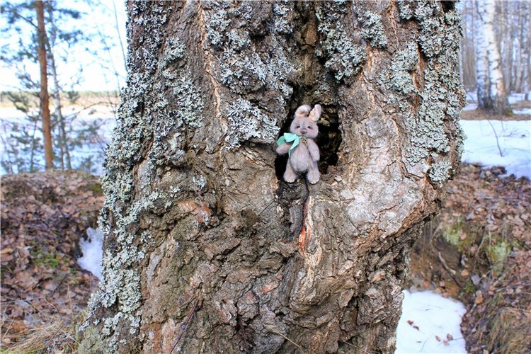 Весна в "Саду Камней" | Бэйбики Весна в "Саду Камней" — Куклы Meadow dolls (Медовушки): BJD (БЖД)