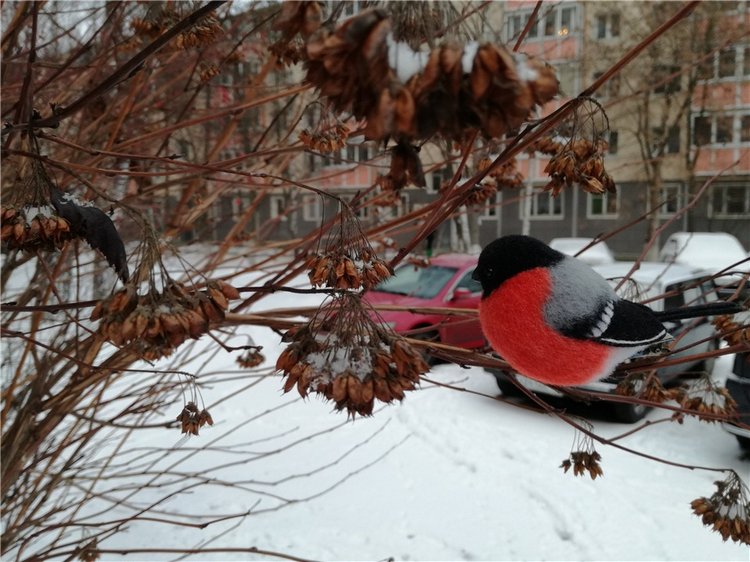 Снегири прилетели и Крошка на ладошке (фото 9)