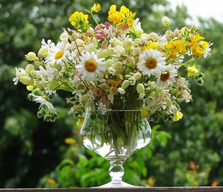 Девочки от Heidi Plusczoк. Катя