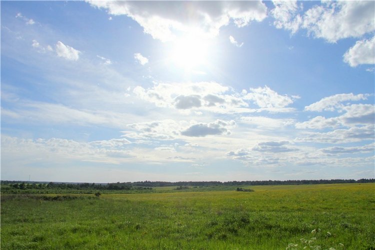Моё Солнышко — Антикварные куклы Jumeau (Жюмо): Tete Jumeau