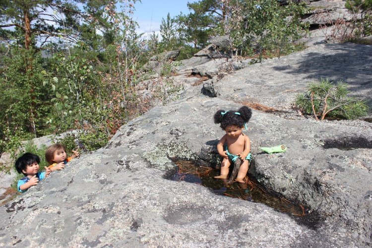 Базовичок обыкновенный. Дикий, но симпатичный | Бэйбики Базовичок обыкновенный. Дикий, но симпатичный