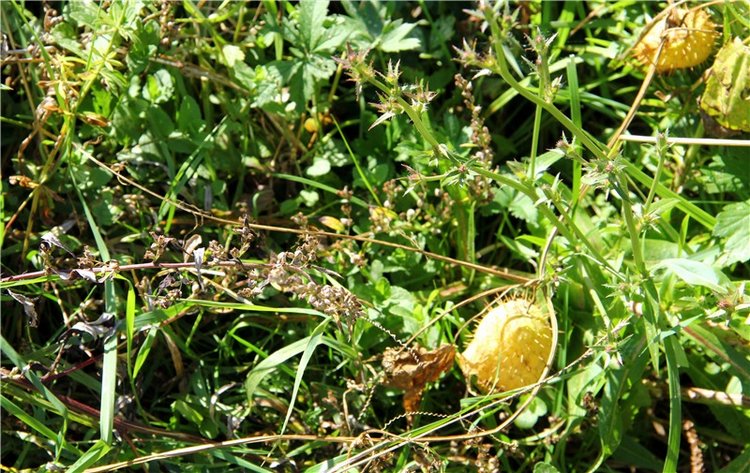 Старицкая Швейцария. Старицкие пещеры, д. Толпино, заключительная часть
