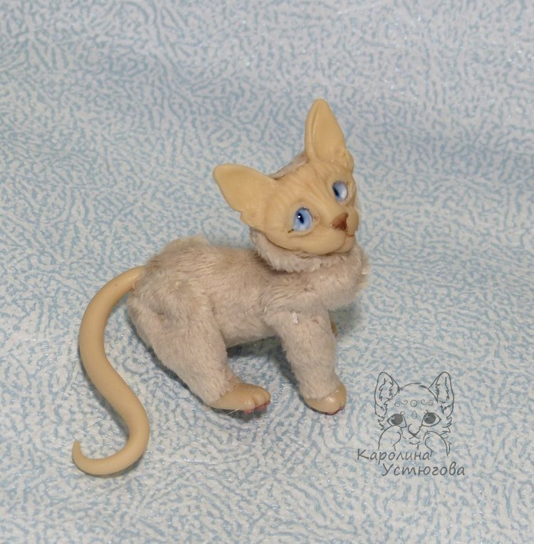 Два миниатюрных котика Сфинкса (фото 3)