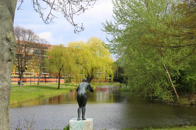 Цветущая Сакура. Прогулка по парку с Алисой. Весенние зарисовки