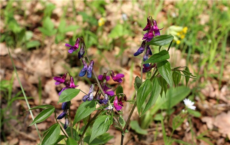 Женя-путешественница — Советские винтажные куклы (СССР): Ленигрушка