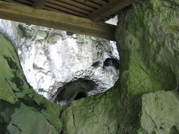 Незабываемая экскурсия по Словении: Постойная Яма и Предъямский замок