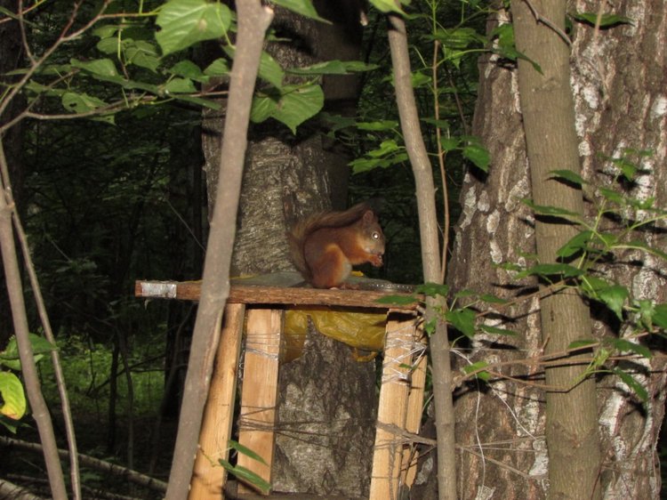 Веселое путешествие по Парку Измайлово