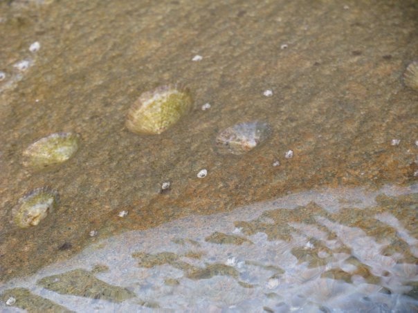 Путешествие на о. Кипр — Туризм и путешествия: фотоотчеты из поездок