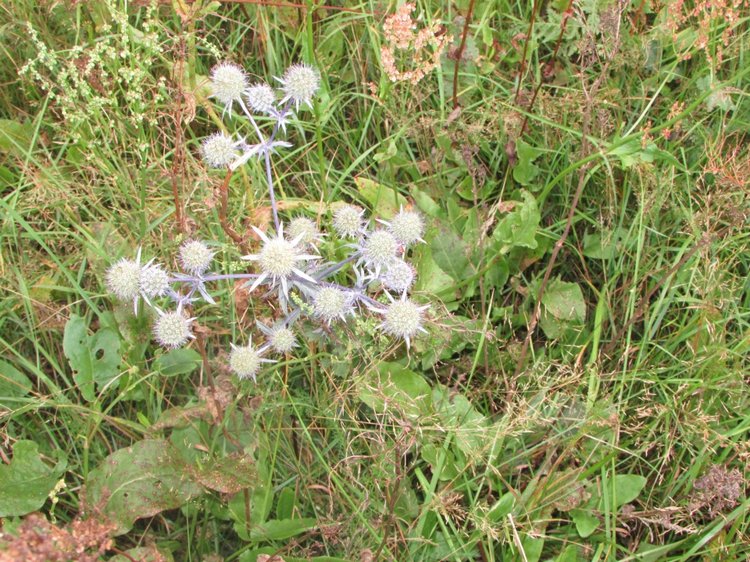 Путешествие в Нижегородскую область - часть 2 - Размещение в деревушке и прогулка по окресностям