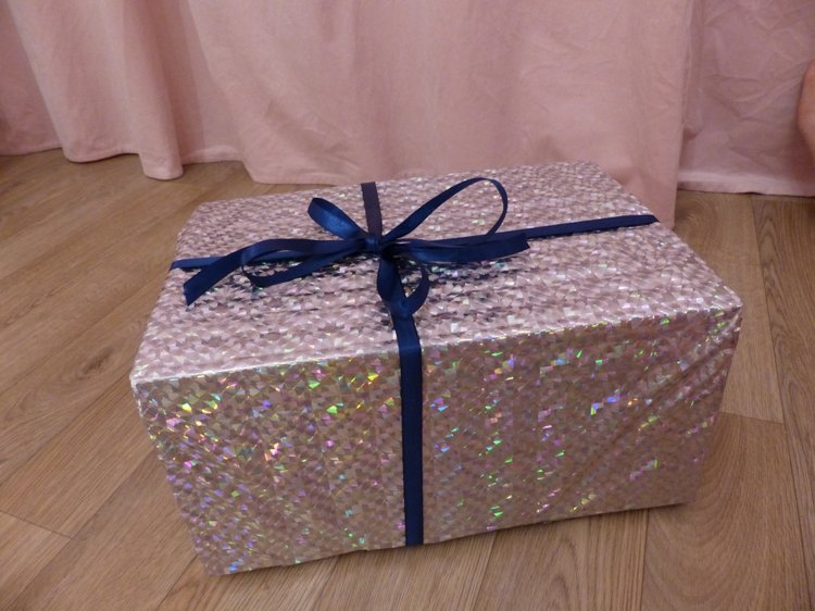 Новогодняя упаковка, провожаем в путь зверяток. Разные фотографии