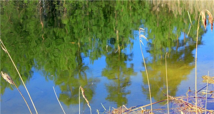 Долгая дорога к Волге. Custom Blythe Doll UFO Go Go Takara