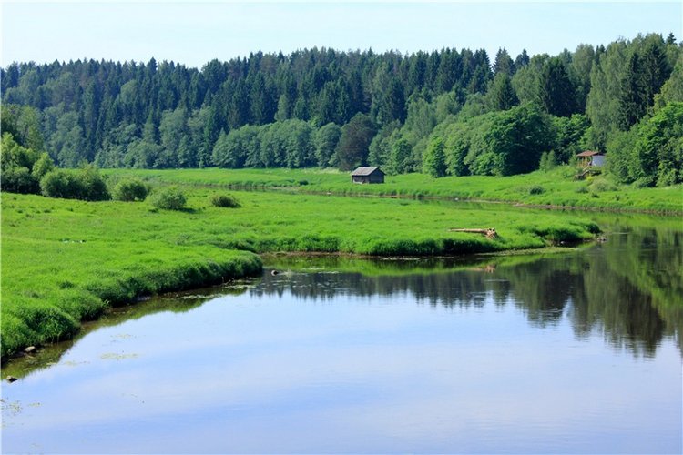 "Троицкие гуляния" в Василёво, 2019 год. Архитектурно-этнографический музей под открытым небом Василёво (фото 4)