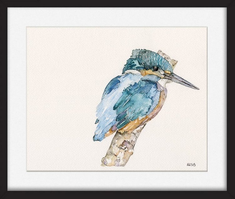 TheColorfulCatStudio - Иллюстрированная фауна by Rachel Byler