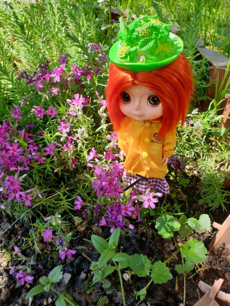 Раз камарик, два камарик — Игровые куклы разных производителей (Разное): редкие бренды