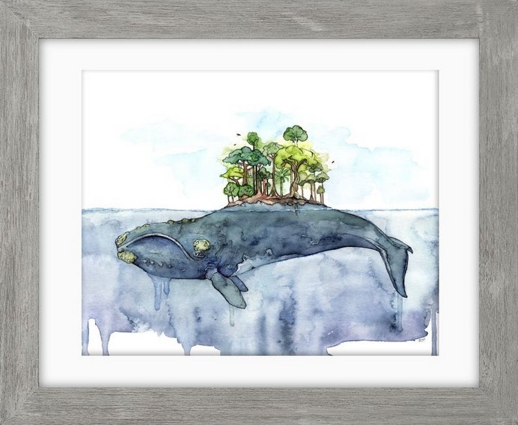 TheColorfulCatStudio - Иллюстрации подводного мира by Rachel Byler