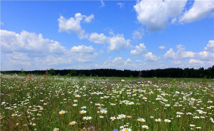 Путешествие Катрин. Katrin, Stoffpuppe Doll, Kathe Kruse (фото 2)