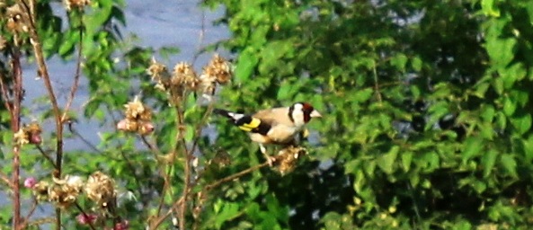 Сентябрьское путешествие в Старицу, четвёртая часть