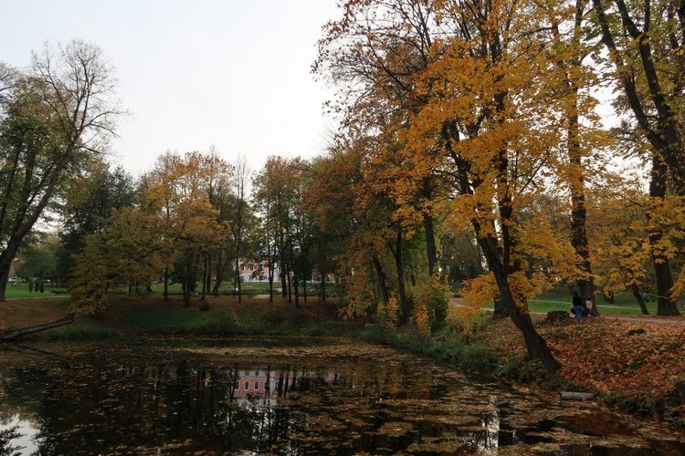 Крошка Элис | Бэйбики Крошка Элис — Куклы Fairyland (ФэйриЛэнд): BJD (БЖД)