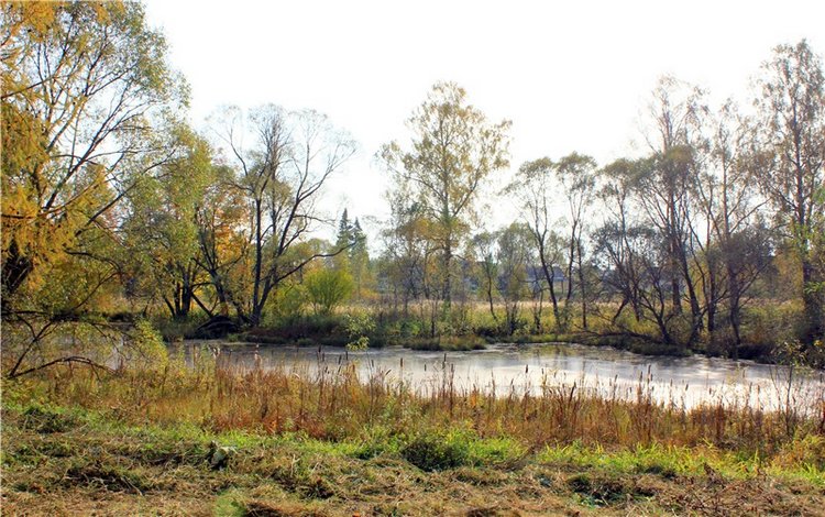 Путешествие Dal Hangry в Грузины