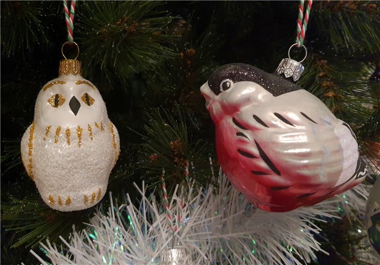 Новогоднее Волшебство 2021 года (фото 10)